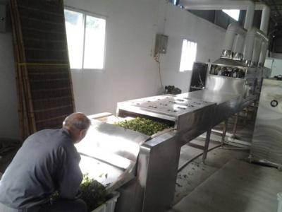 微波殺青機(jī)的特點以及使用效果